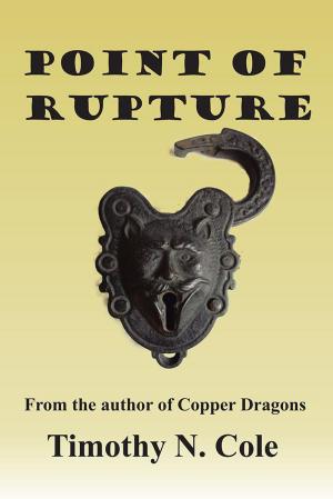 Cover of the book Point of Rupture by John R. Riggs