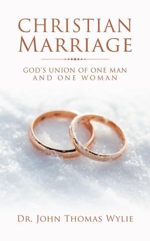Cover of the book Christian Marriage by Nicole Hahn