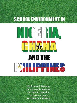 Cover of the book School Environment in Nigeria, Ghana and the Philippines by Aleksander Kupisz