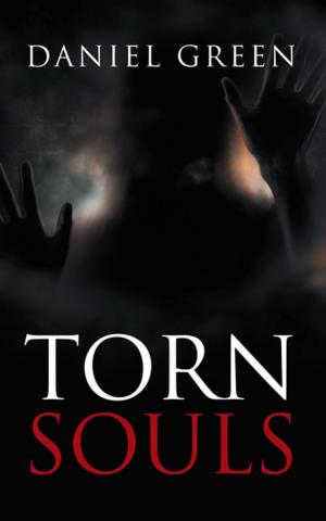 Book cover of Torn Souls