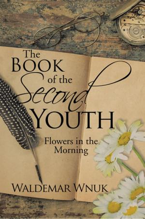 Cover of the book The Book of the Second Youth by Mark Stephen Levy