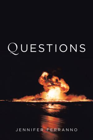 Cover of the book Questions by Mirta Alicia Castillo