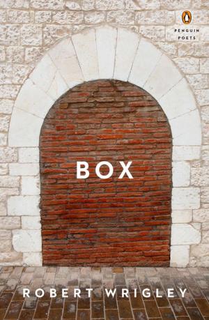Cover of the book Box by Evan Carmichael