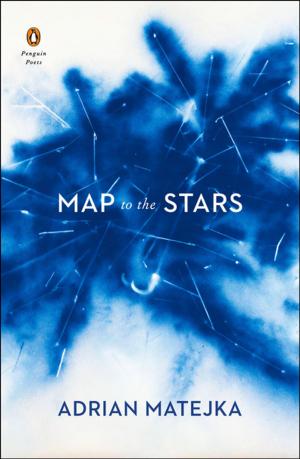 Cover of the book Map to the Stars by Michael Howe