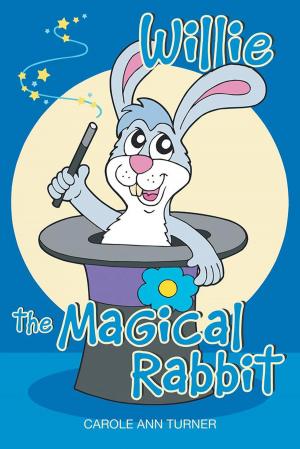 bigCover of the book Willie the Magical Rabbit by 
