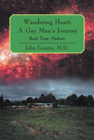 Cover of the book Wandering Heart: a Gay Man’S Journey by David Burford