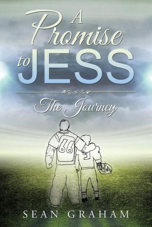 Cover of the book A Promise to Jess by Nadia Thornton