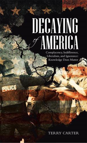 Cover of the book Decaying of America by Trish Dudek