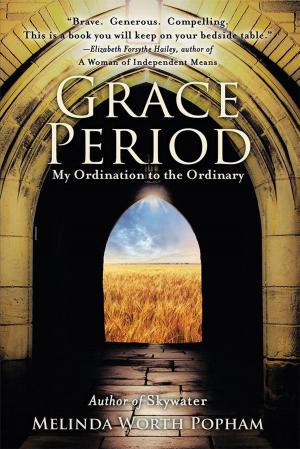 Cover of the book Grace Period by Santos O. González PhD