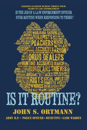 Cover of the book Is It Routine? by Stan Yocum
