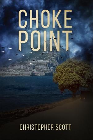 Cover of the book Choke Point by Martin Price