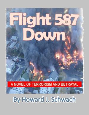 Cover of the book Flight 587 Down by 莫里斯.盧布朗 Maurice Leblanc