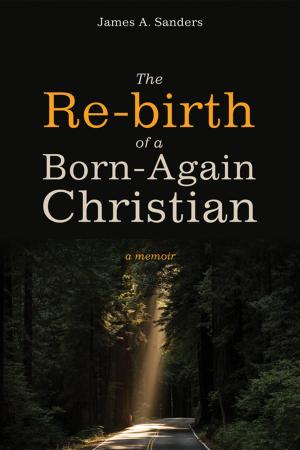 Book cover of The Re-birth of a Born-Again Christian