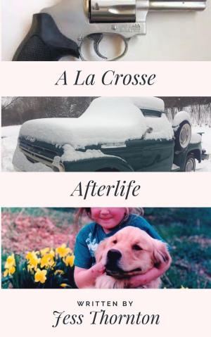 bigCover of the book A La Crosse Afterlife by 