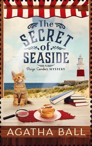 Cover of the book The Secret of Seaside by Kate Danley