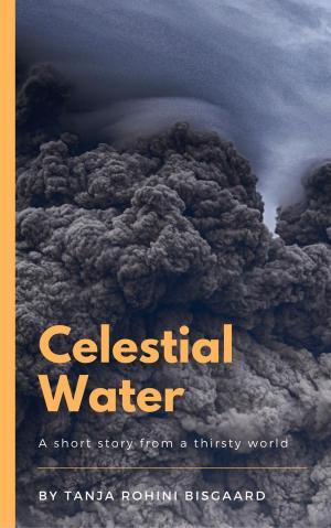 Cover of Celestial Water