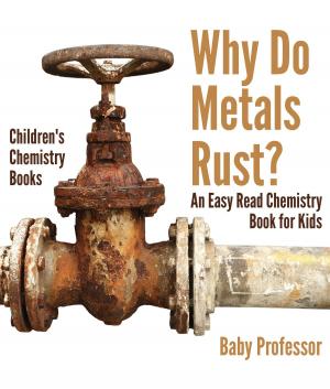 Cover of the book Why Do Metals Rust? An Easy Read Chemistry Book for Kids | Children's Chemistry Books by Janet Evans