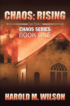 bigCover of the book Chaos; Rising by 