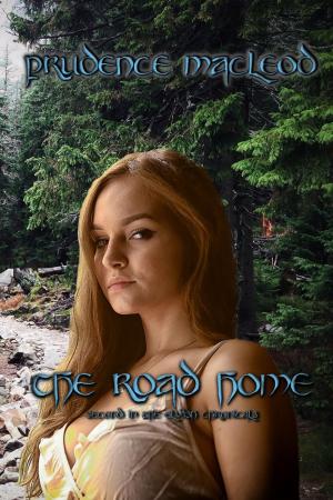 Book cover of The Road Home