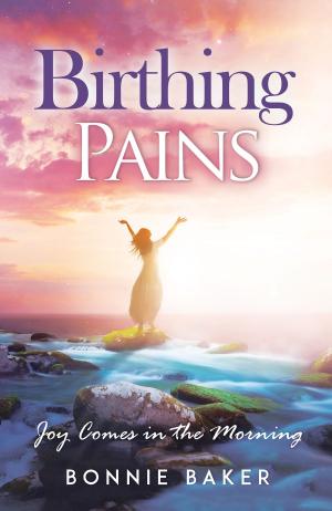 Cover of the book Birthing Pains by Jerry Holmes, Ph.D.
