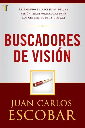 Book cover of Buscadores de visión