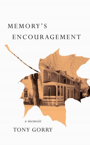 bigCover of the book Memory's Encouragement by 