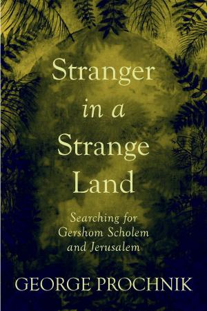 Cover of the book Stranger in a Strange Land by John Milliken Thompson