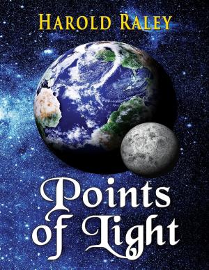 Cover of the book Points of Light by Bob Doerr