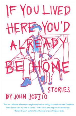 Cover of the book If You Lived Here You'd Already be Home by Wendell Berry