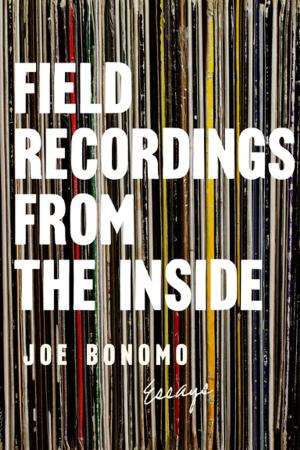 Cover of the book Field Recordings from the Inside by Owen Egerton