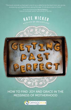 Cover of the book Getting Past Perfect by Jared Dees