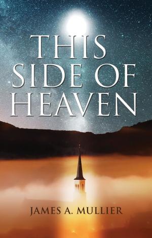 Cover of the book This Side of Heaven by Bob James