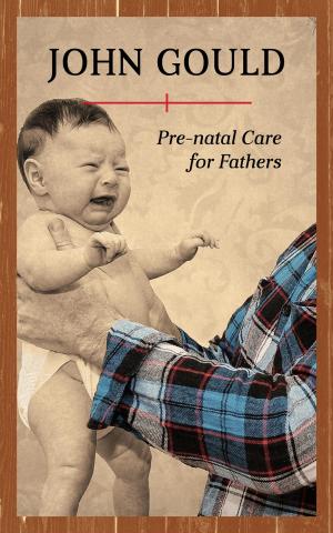 Cover of the book Pre-Natal Care for Fathers by Anna Drezen, Todd Dakotah Briscoe