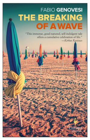 Cover of the book The Breaking of a Wave by Maurizio de Giovanni