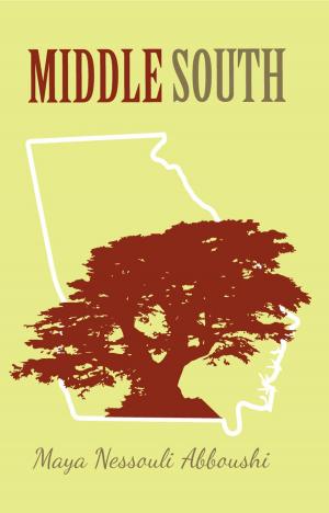 Cover of the book Middle South by Val Bodurtha