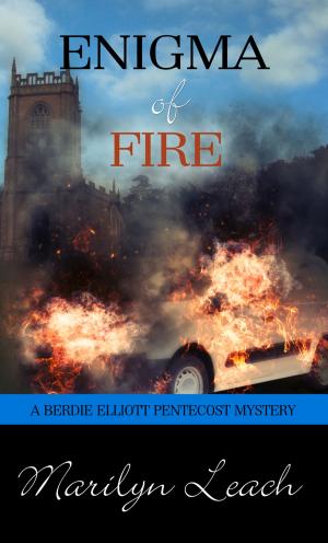 Cover of the book Enigma of Fire by Mary Manners