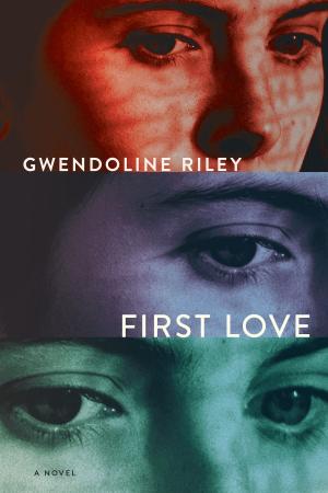 Cover of the book First Love by Marek Krajewski