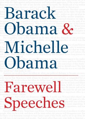 Cover of the book Farewell Speeches by Alexei Nikitin