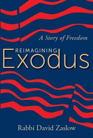 Cover of the book Reimagining Exodus by M. Basil Pennington