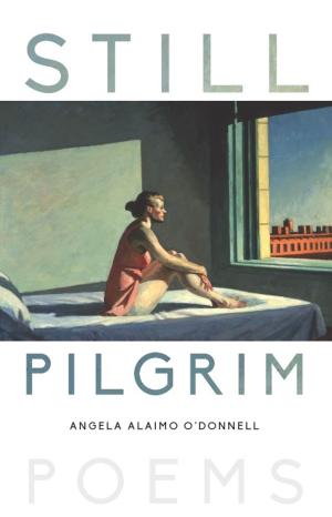 Book cover of Still Pilgrim