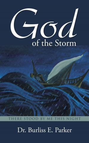Cover of the book God of the Storm: There Stood by me this Night by Ellery D. Poole