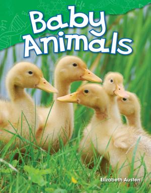 Cover of the book Baby Animals by Kathleen C. Null Petersen