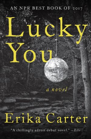 Cover of the book Lucky You by James McWilliams