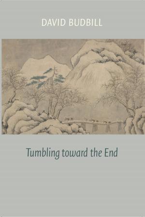 Cover of the book Tumbling Toward the End by David Bottoms