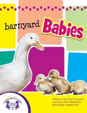 Cover of the book Barnyard Babies Sound Book by Kim Mitzo Thompson, Karen Mitzo Hilderbrand, Angelee Randlett, Walt Wise