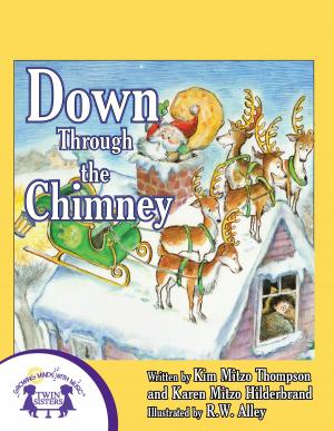 Cover of the book Down Through The Chimney by Kim Mitzo Thompson, Karen Mitzo Hilderbrand, Angelee Randlett, Carlos Reynoso