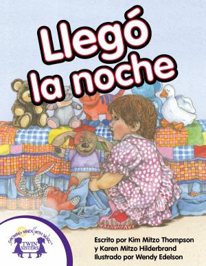 Book cover of Llegó la noche