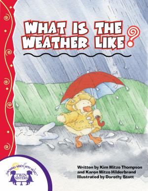 Cover of the book What Is The Weather Like Today? by Lisa McClatchy, Cindy Kiernicki
