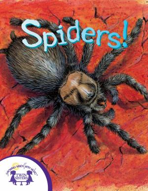 Cover of the book Know-It-Alls! Spiders by Kim Mitzo Thompson, Karen Mitzo Hilderbrand, Dorothy Stott