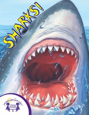 Cover of the book Know-It-Alls! Sharks by Kim Mitzo Thompson, Karen Mitzo Hilderbrand, Dorothy Stott, Walt Wise